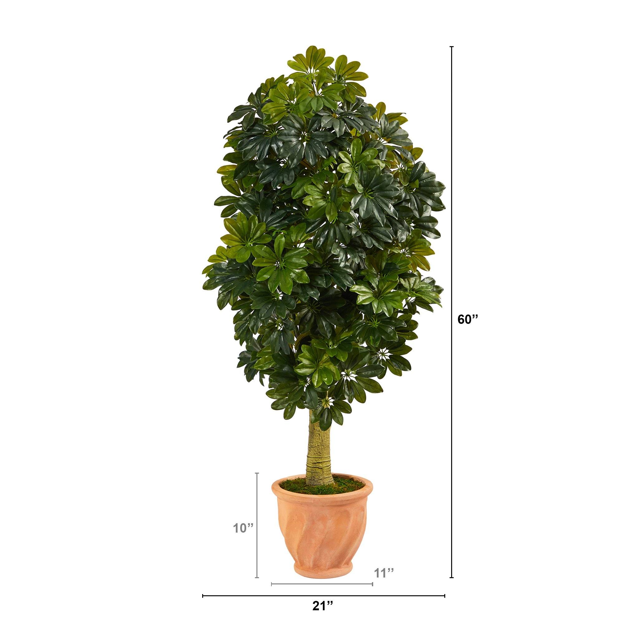 5' Schefflera Artificial Tree in Terra-Cotta Planter (Real Touch)