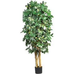 5' Schefflera Silk Tree
