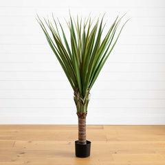 5' Spiked Agave Tree