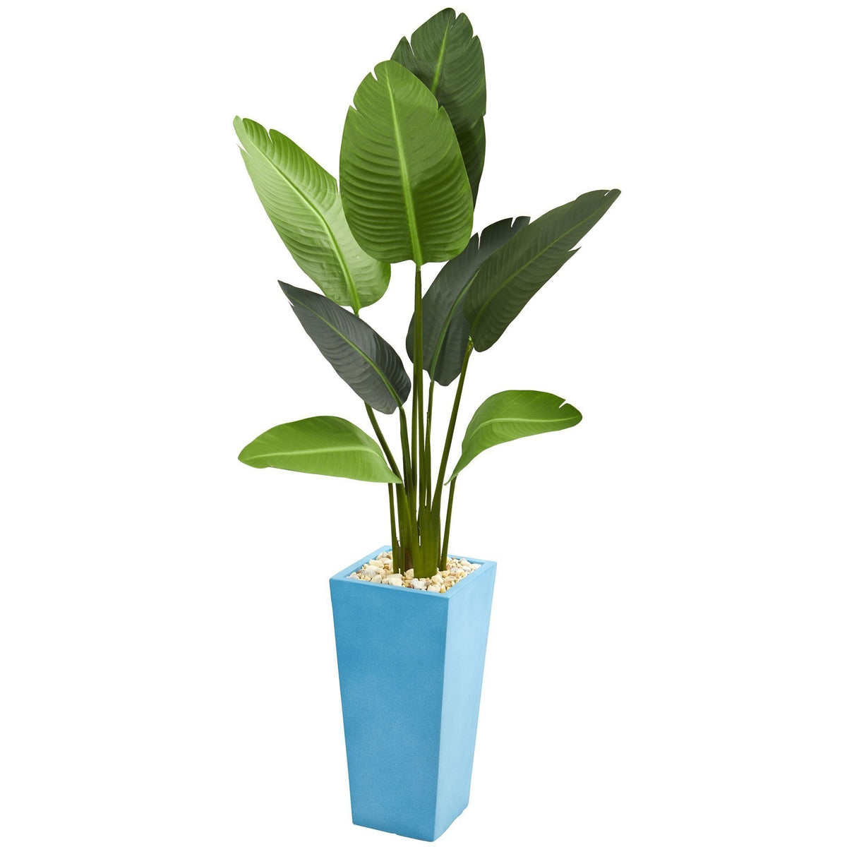 5’ Traveler's Artificial Palm Tree in Turquoise Planter