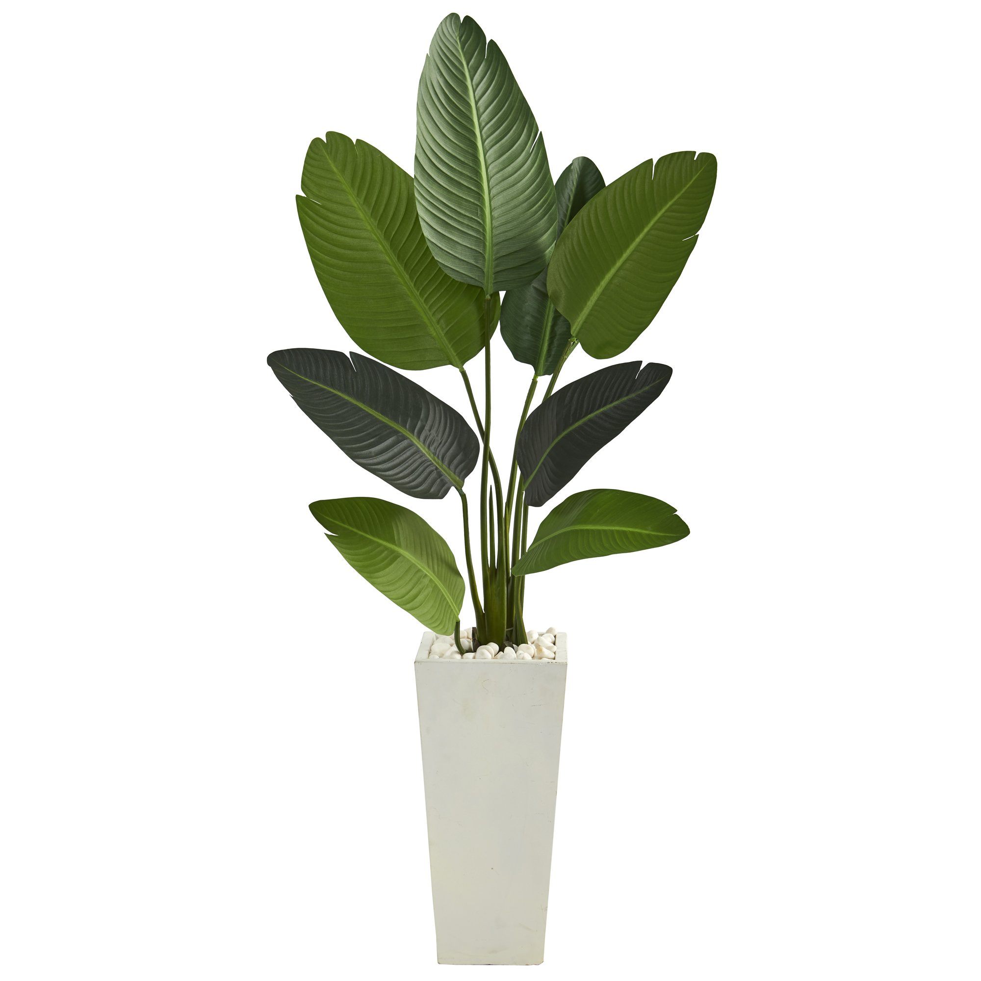 5’ Traveler's Palm Artificial Tree in Tall White Planter