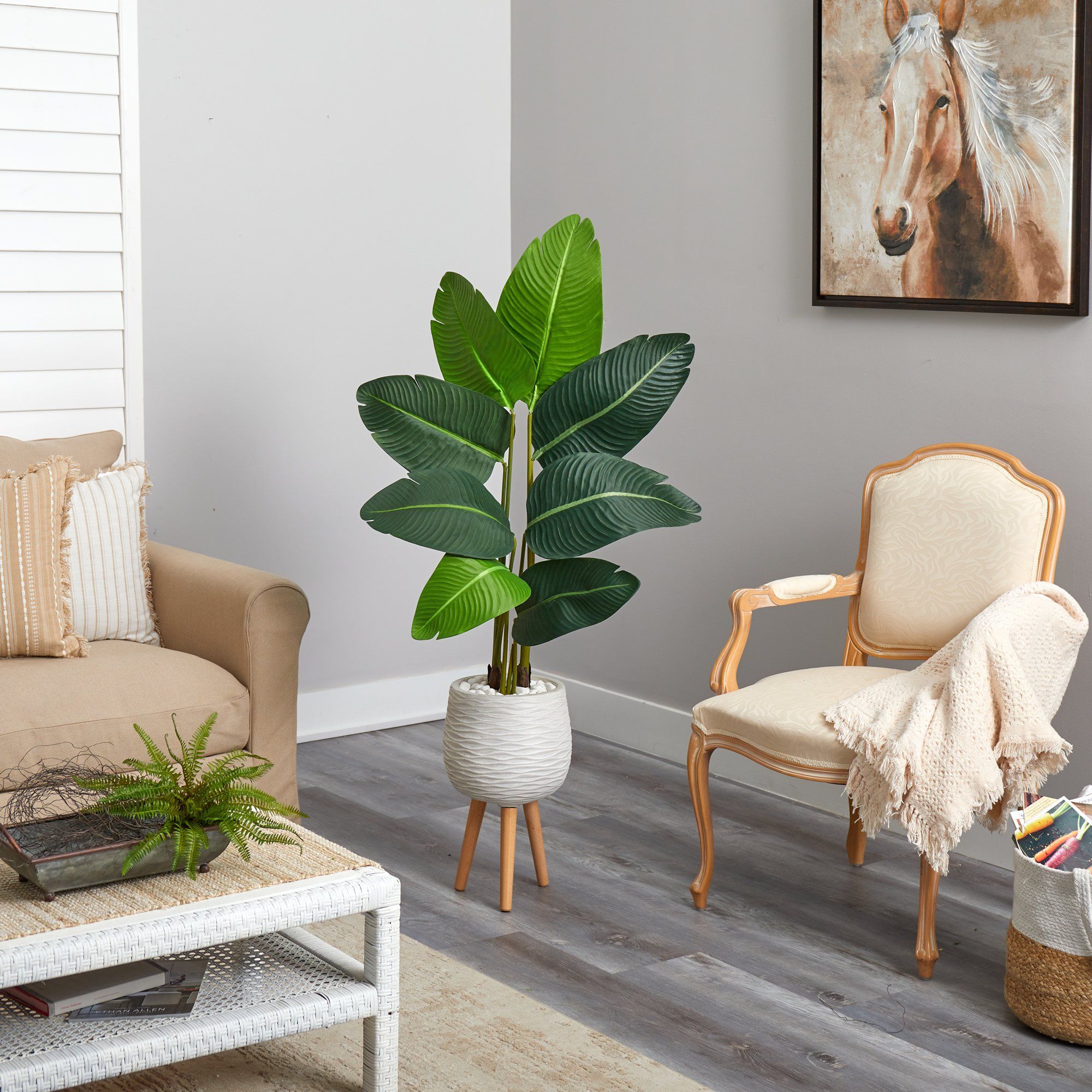 5’ Traveler's Palm Artificial Tree in White Planter with Stand