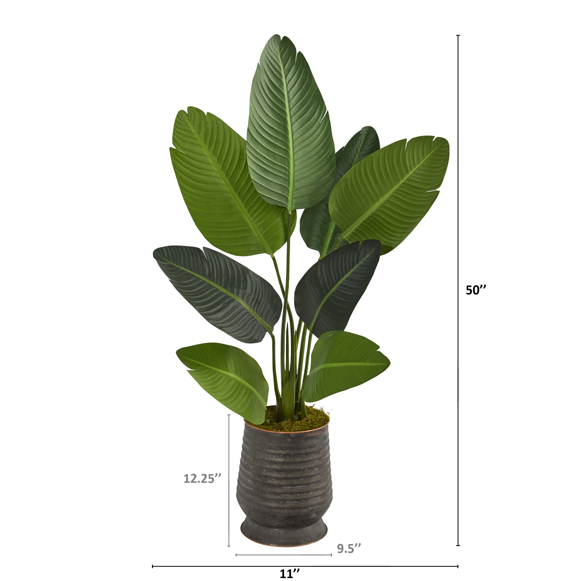 50” Traveler's Palm Artificial Tree in Ribbed Metal Planter