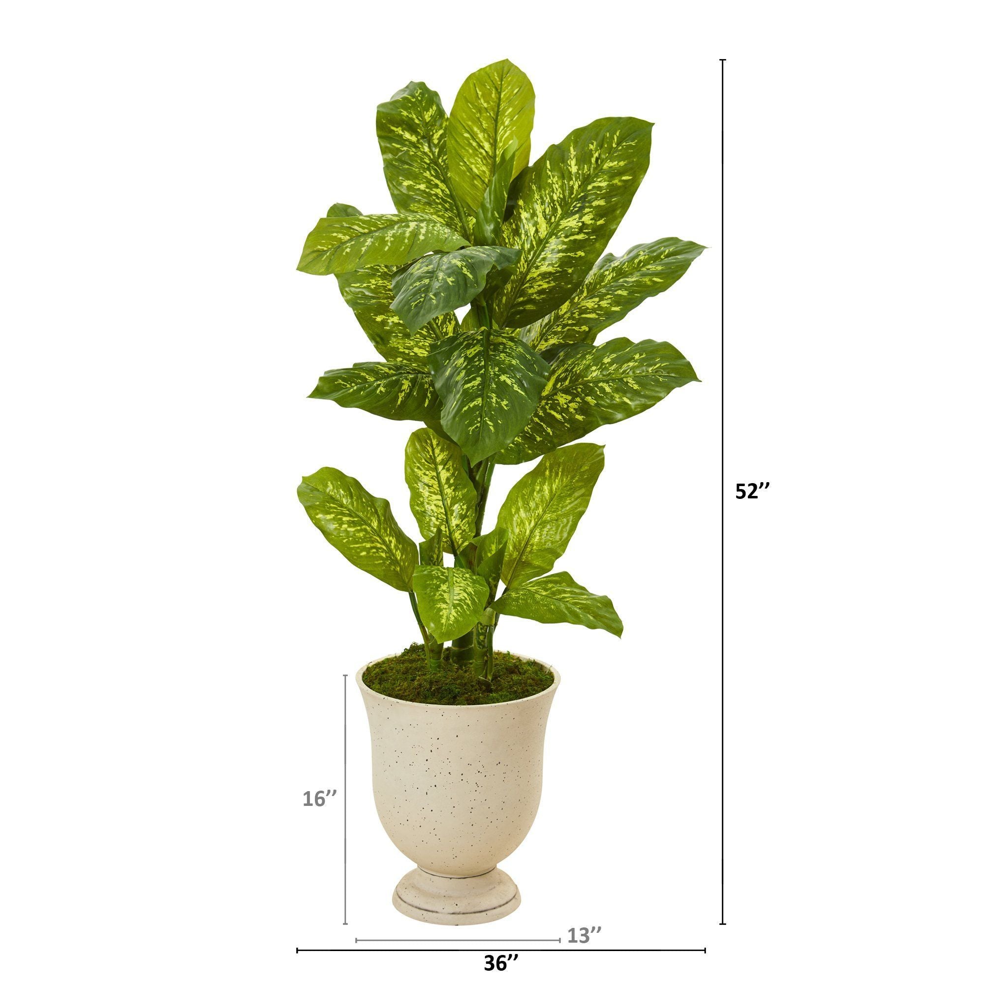 52” Dieffenbachia Artificial Plant in White Urn (Real Touch)