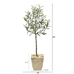 52” Olive Artificial Tree in Country White Planter