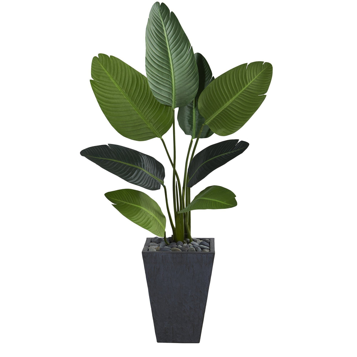 52” Traveler's Palm Artificial Tree in Slate Planter