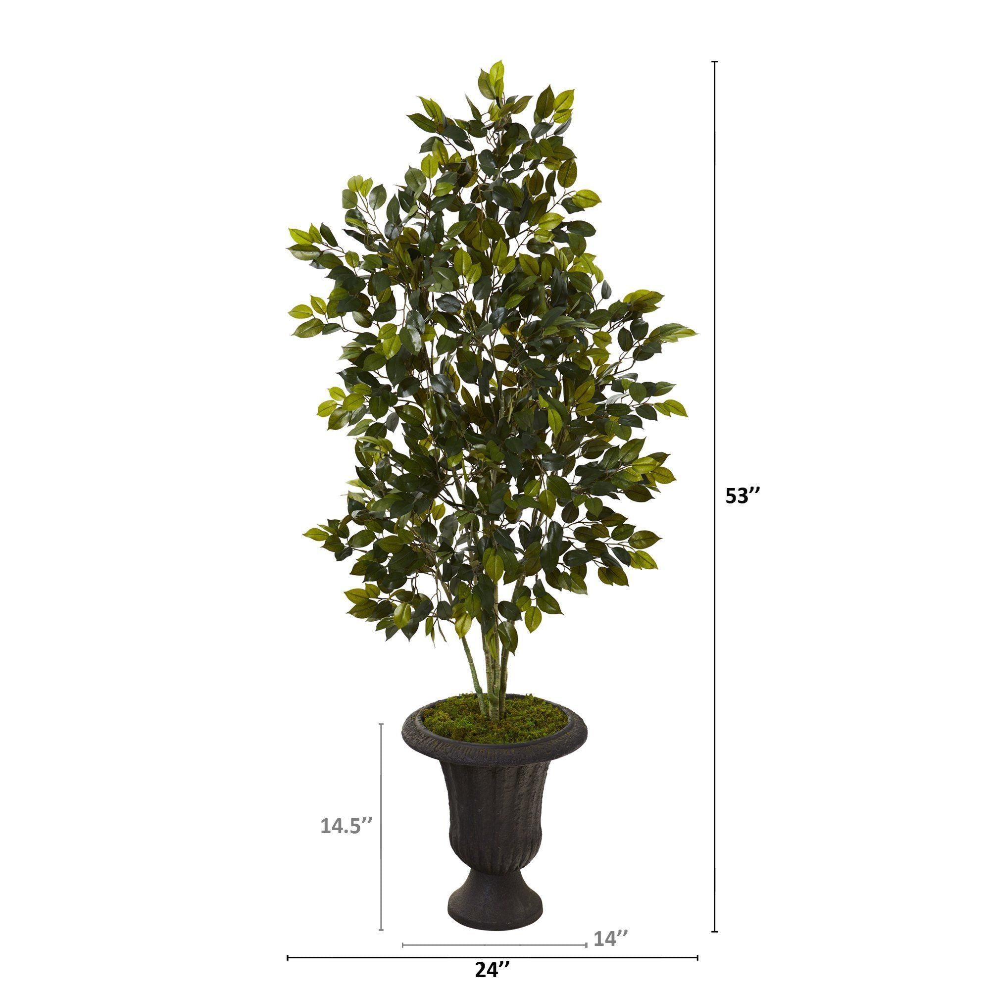 53” Ficus Artificial Tree in Charcoal Urn