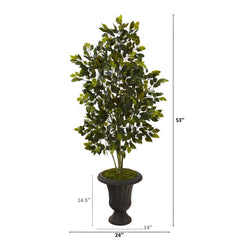 53” Ficus Artificial Tree in Charcoal Urn