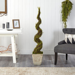 53” Mohlenbechia Spiral Artificial Tree in Country White Planter