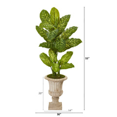 55” Dieffenbachia Artificial Plant in Sand Finished Urn (Real Touch)