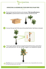 5.5’ Double Robellini Palm Tree UV Resistant (Indoor/Outdoor)