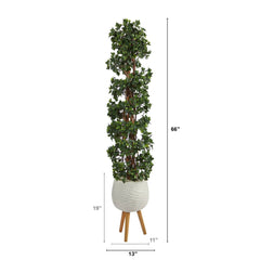 5.5’ English Ivy Topiary Spiral Artificial Tree in White Planter with Stand  (Indoor/Outdoor)