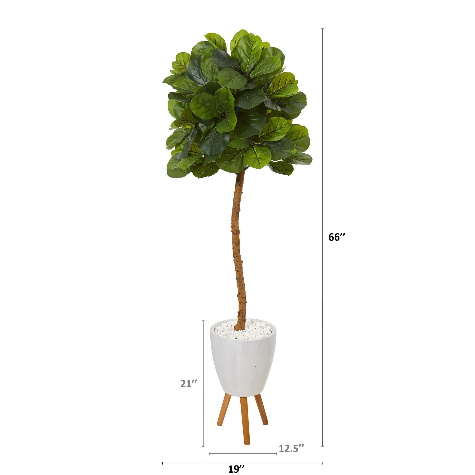 5.5’ Fiddle Leaf Artificial Tree in White Planter with Stand (Real Touch)