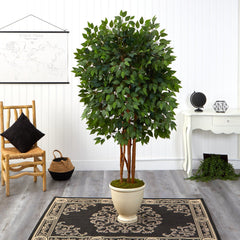 5.5’ Super Deluxe Ficus Artificial Tree in Decorative Urn