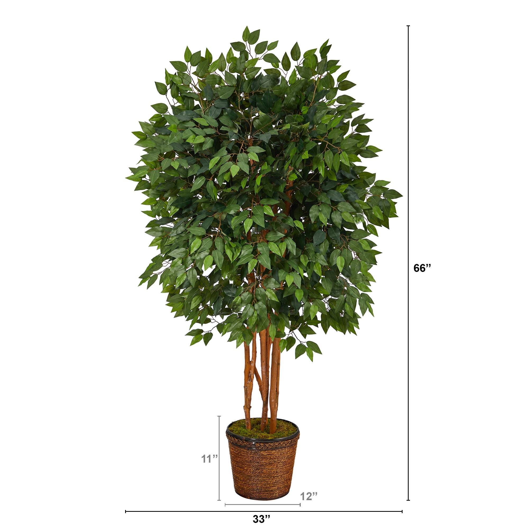 5.5’ Super Deluxe Ficus Artificial Tree in Wicker Planter