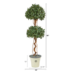 5.5’ Sweet Bay Double Ball Topiary Artificial Tree in Decorative Planter