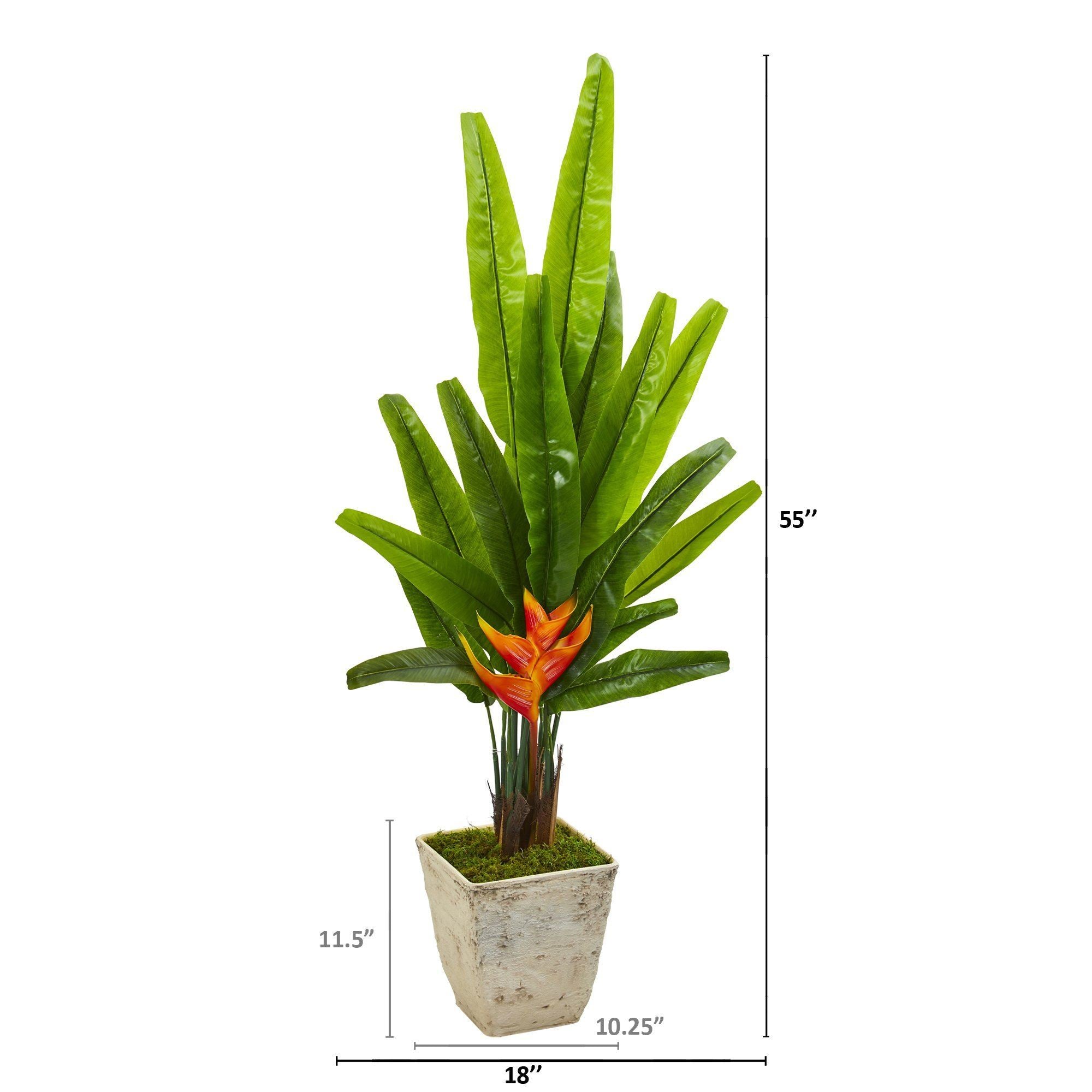 55” Traveler's Palm Artificial Tree in Country White Planter