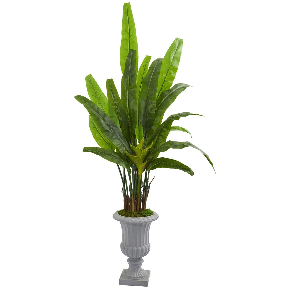 5.5’ Traveler's Palm Artificial Tree in Gray Urn