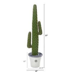 57” Cactus Artificial Plant in Decorative Planter