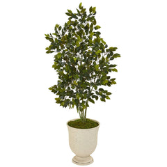 58” Ficus Artificial Tree in Decorative Urn