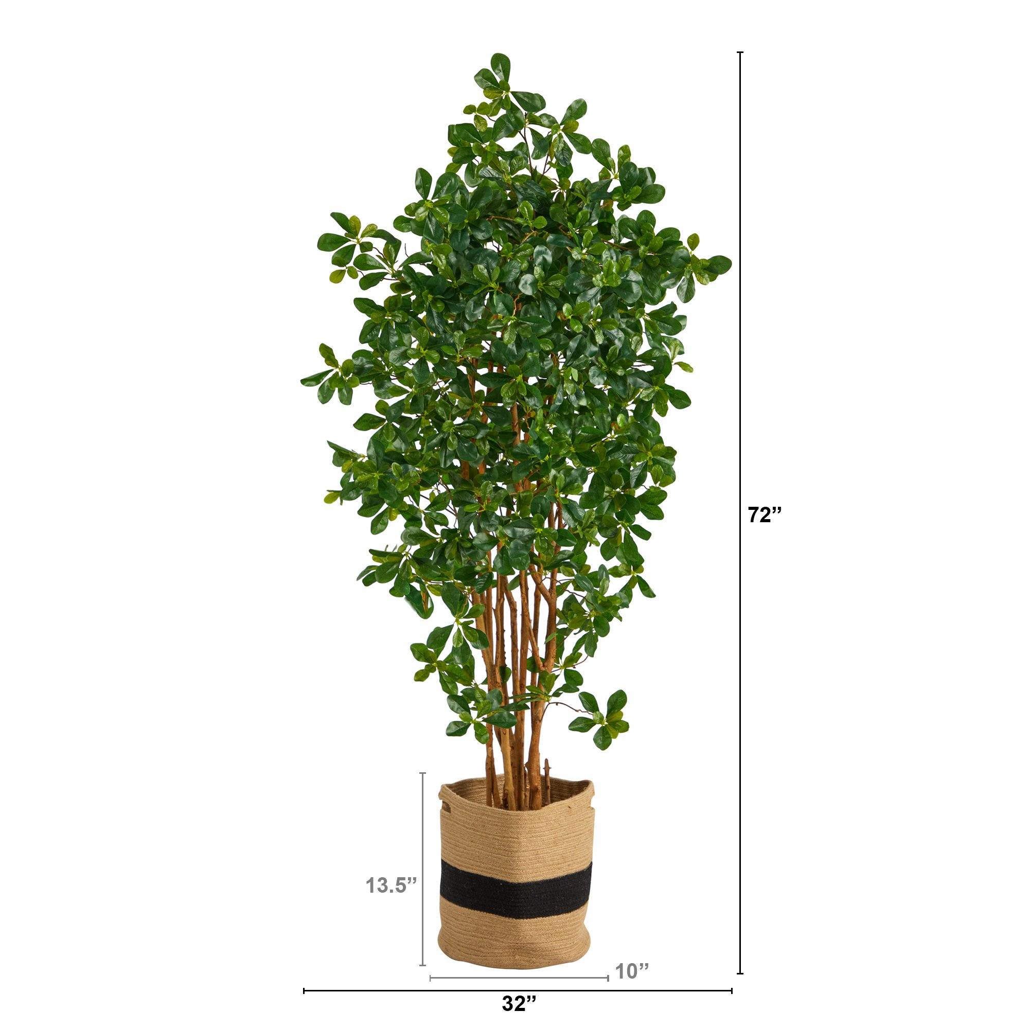 6’ Black Olive Artificial Tree in Handmade Natural Cotton Planter
