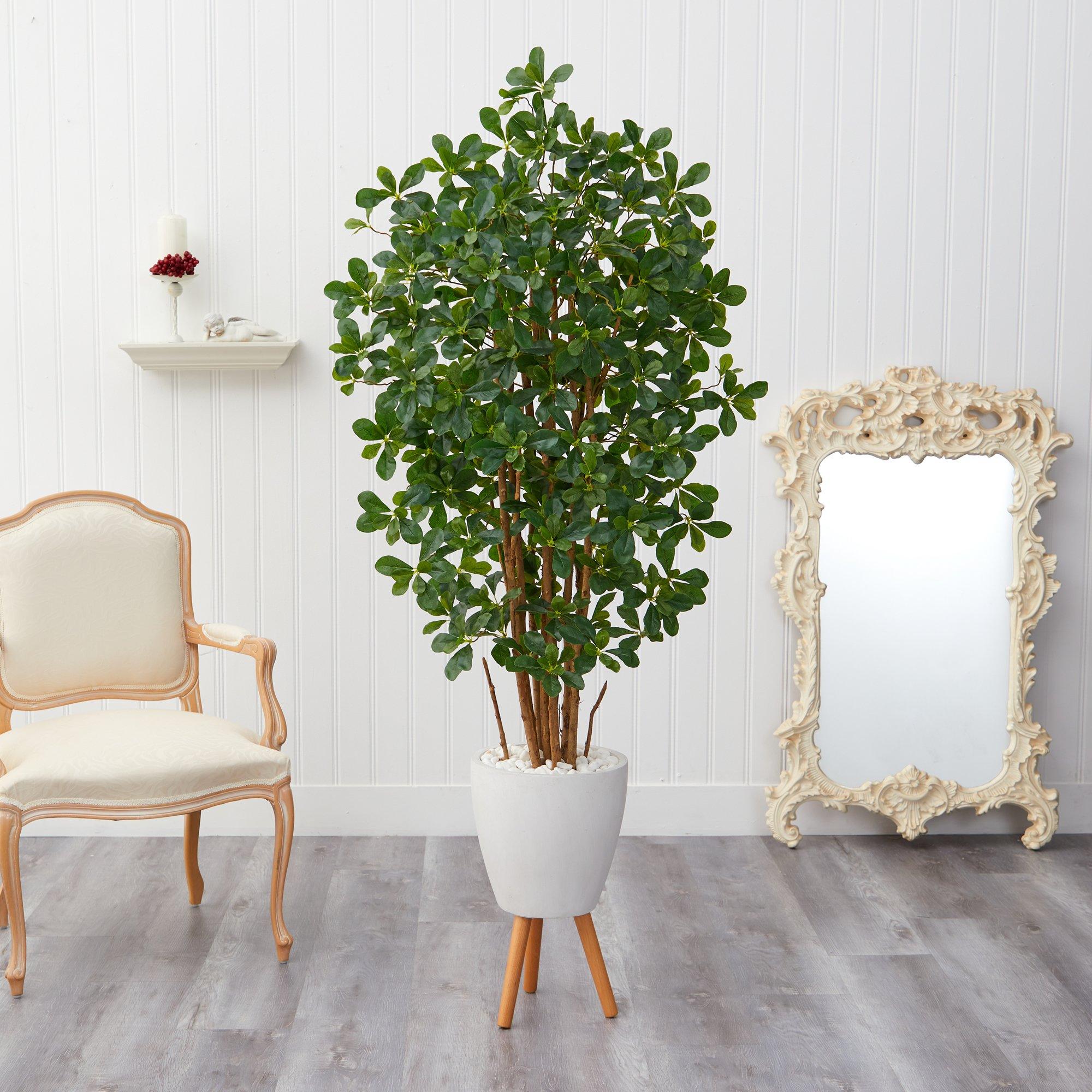 6’ Black Olive Artificial Tree in White Planter with Stand