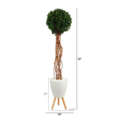 6’ English Ivy Single Ball Artificial Topiary Tree in White Planter with Stand (Indoor/Outdoor)