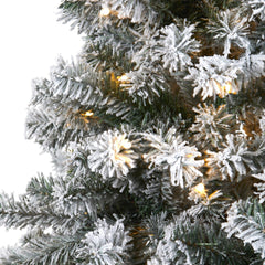 6' Flocked Rock Springs Spruce Artificial Christmas Tree with 250 Clear LED Lights