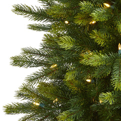6' Manchester Fir Artificial Christmas Tree in Decorative Planter with 350 Clear Warm (Multifunction) LED Lights and 504 Bendable Branches