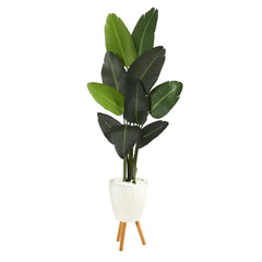 6’ Traveler's Palm Artificial Tree in White Planter with Stand