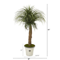 61” Pony Tail Palm Artificial Plant in Decorative Planter