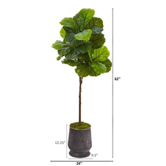62” Fiddle Leaf Artificial Tree in Ribbed Metal Planter (Real Touch)