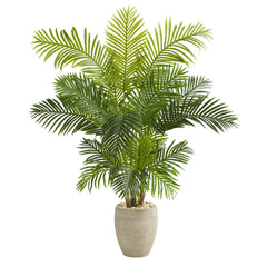 62” Hawaii Palm Artificial Tree in Sand Colored Planter