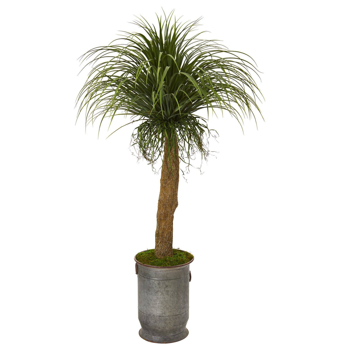 64” Pony Tail Palm Artificial Plant in Copper Trimmed Metal Planter