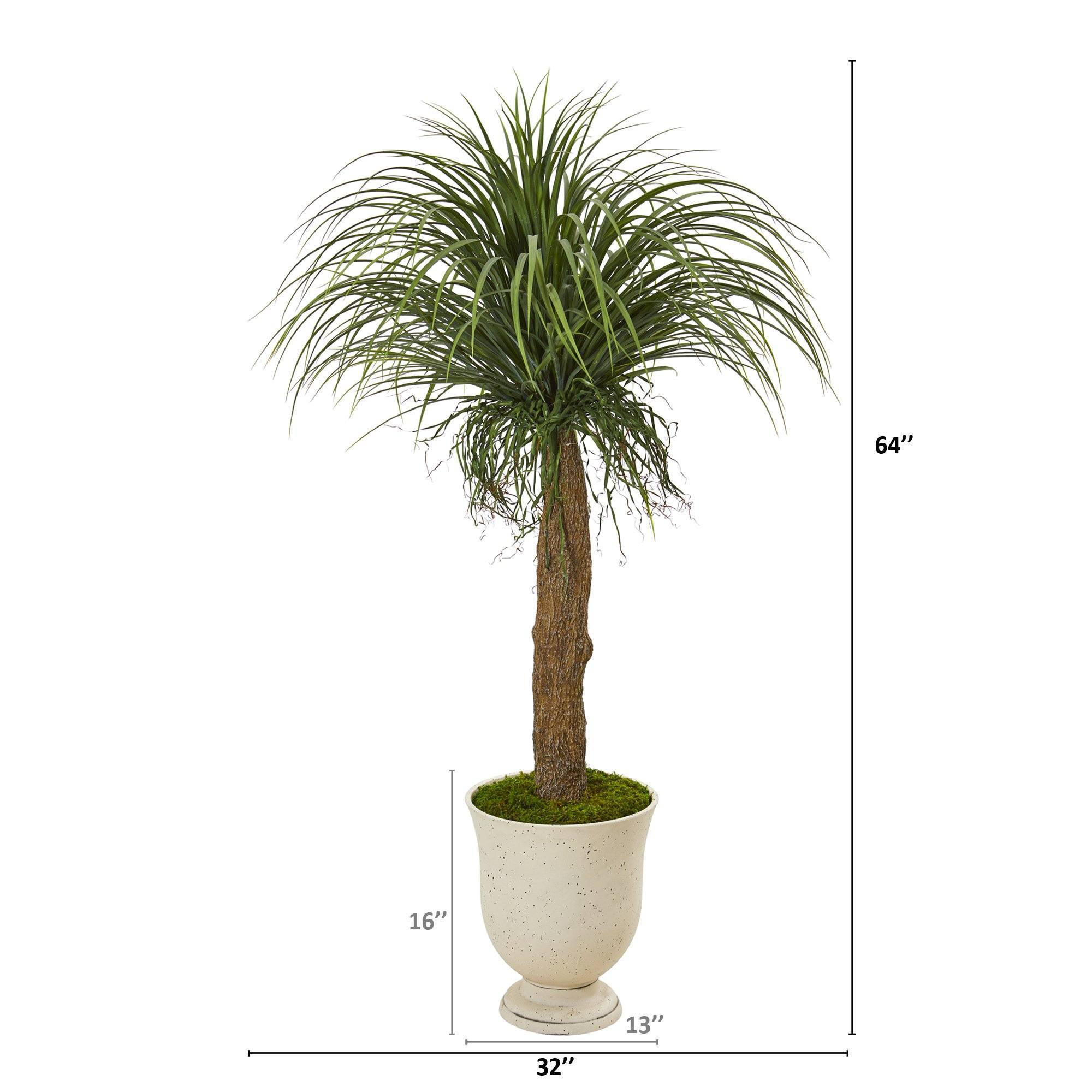 64” Pony Tail Palm Artificial Plant in Decorative Urn