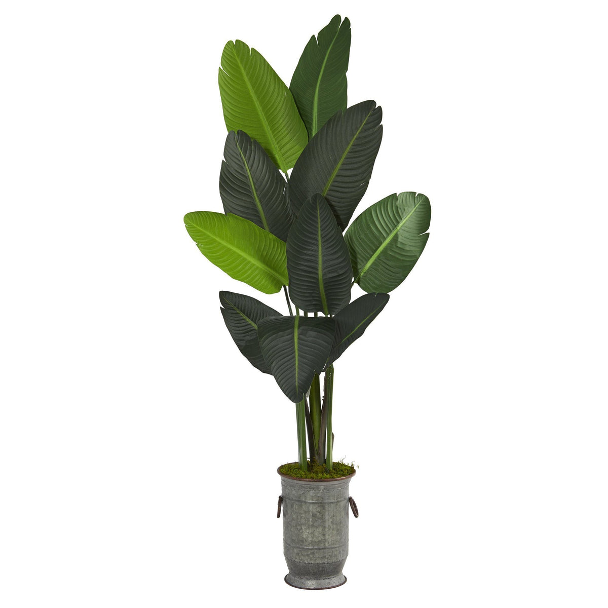 64” Traveler's Palm Artificial Tree in Vintage Metal Planter