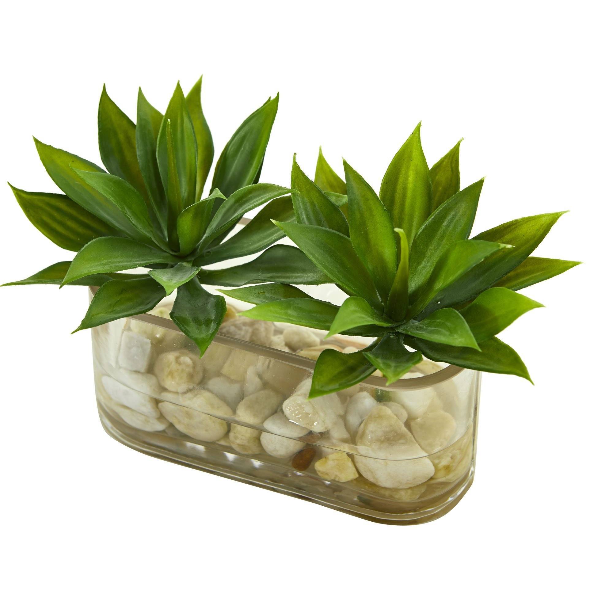 6.5” Mini Agave Succulent Artificial Arrangement in Glass Vase
