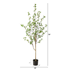 6.5' Minimalist Citrus Tree