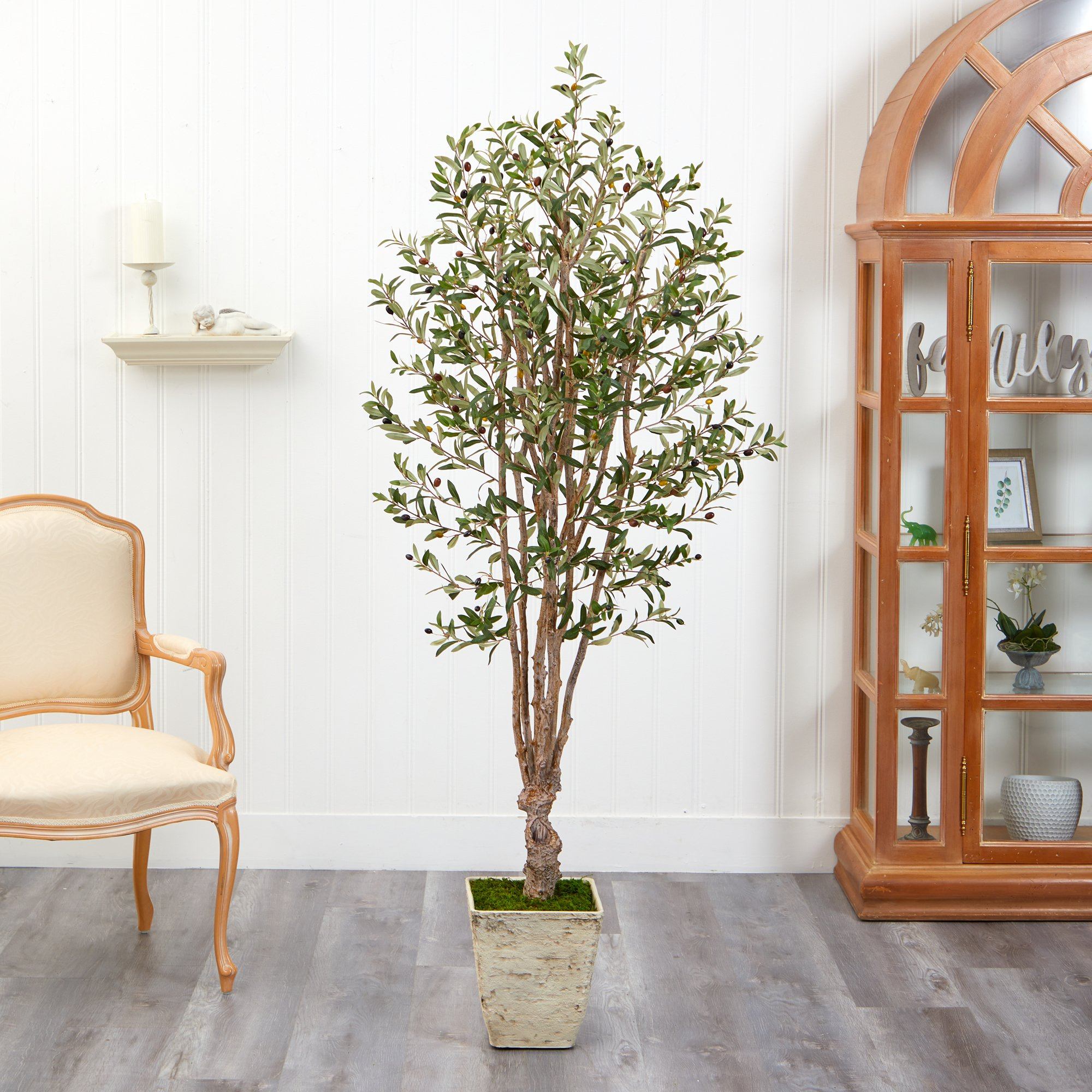 6.5’ Olive Artificial Tree in Country White Planter