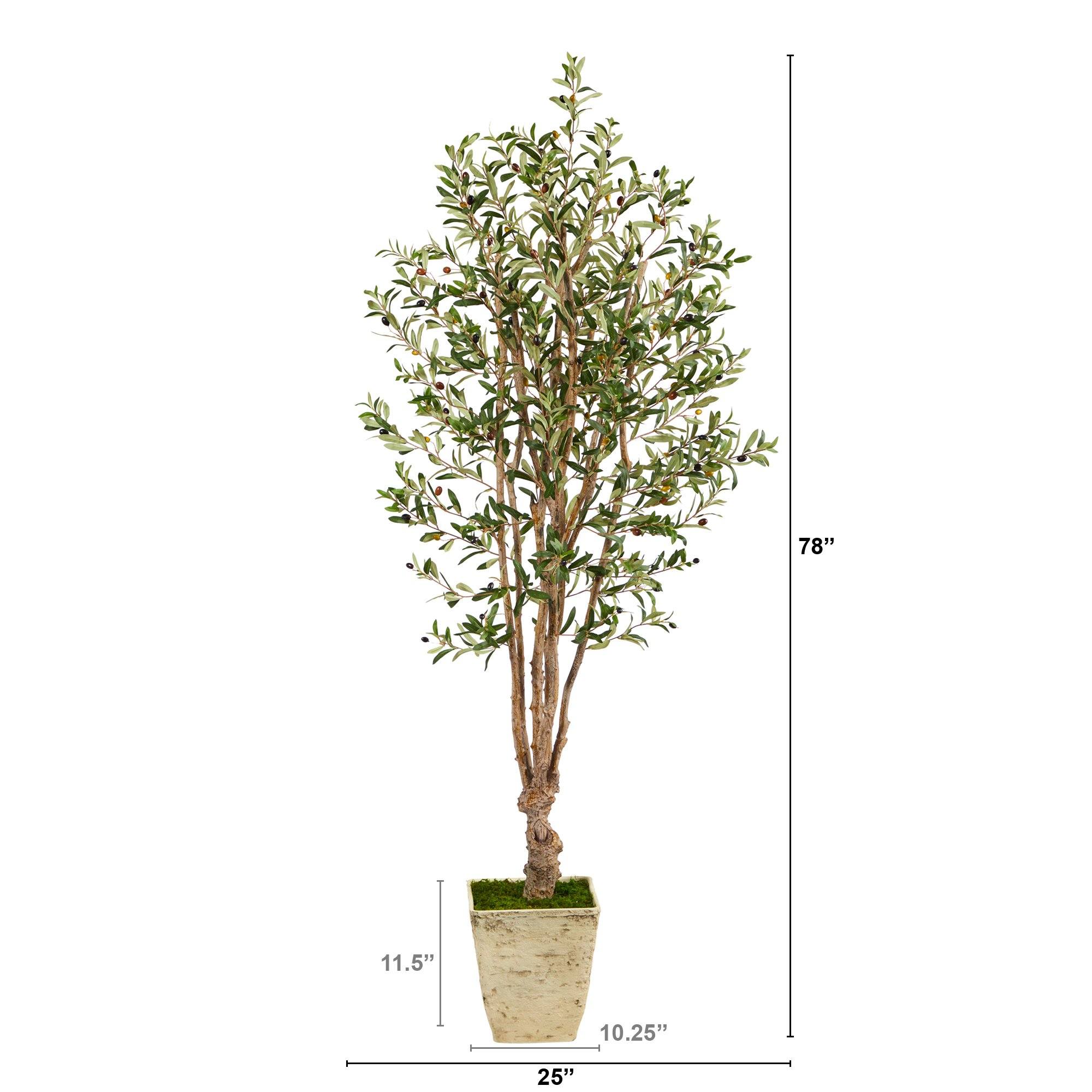 6.5’ Olive Artificial Tree in Country White Planter