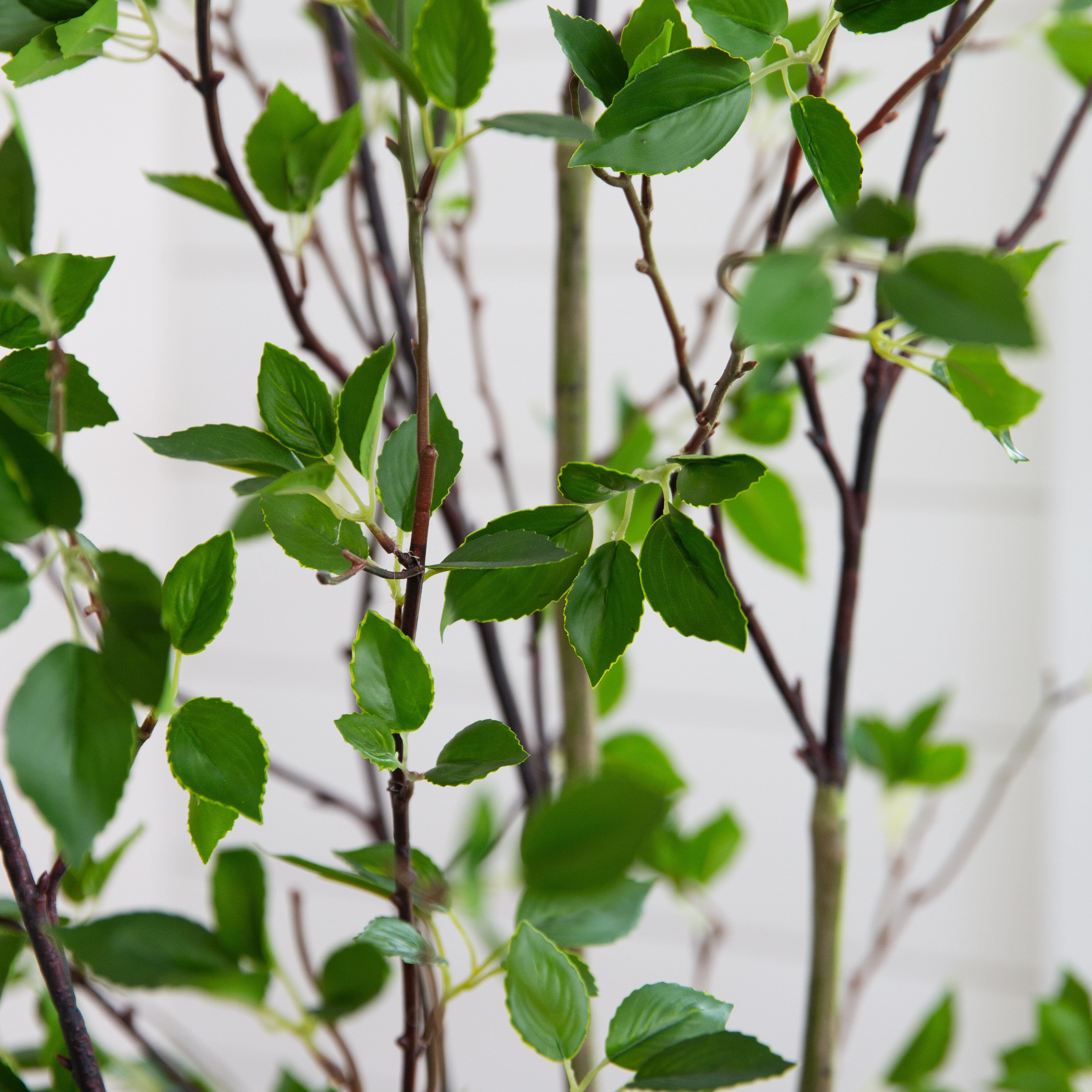 7' Minimalist Citrus Artificial Tree
