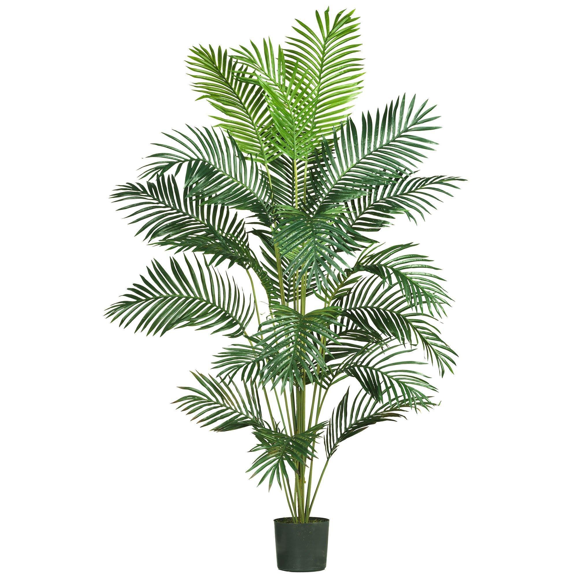7' Paradise Palm