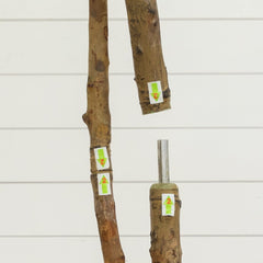 7' Artificial Willow Tree