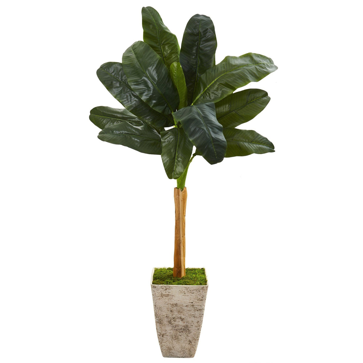 70” Banana Artificial Tree in Country White Planter