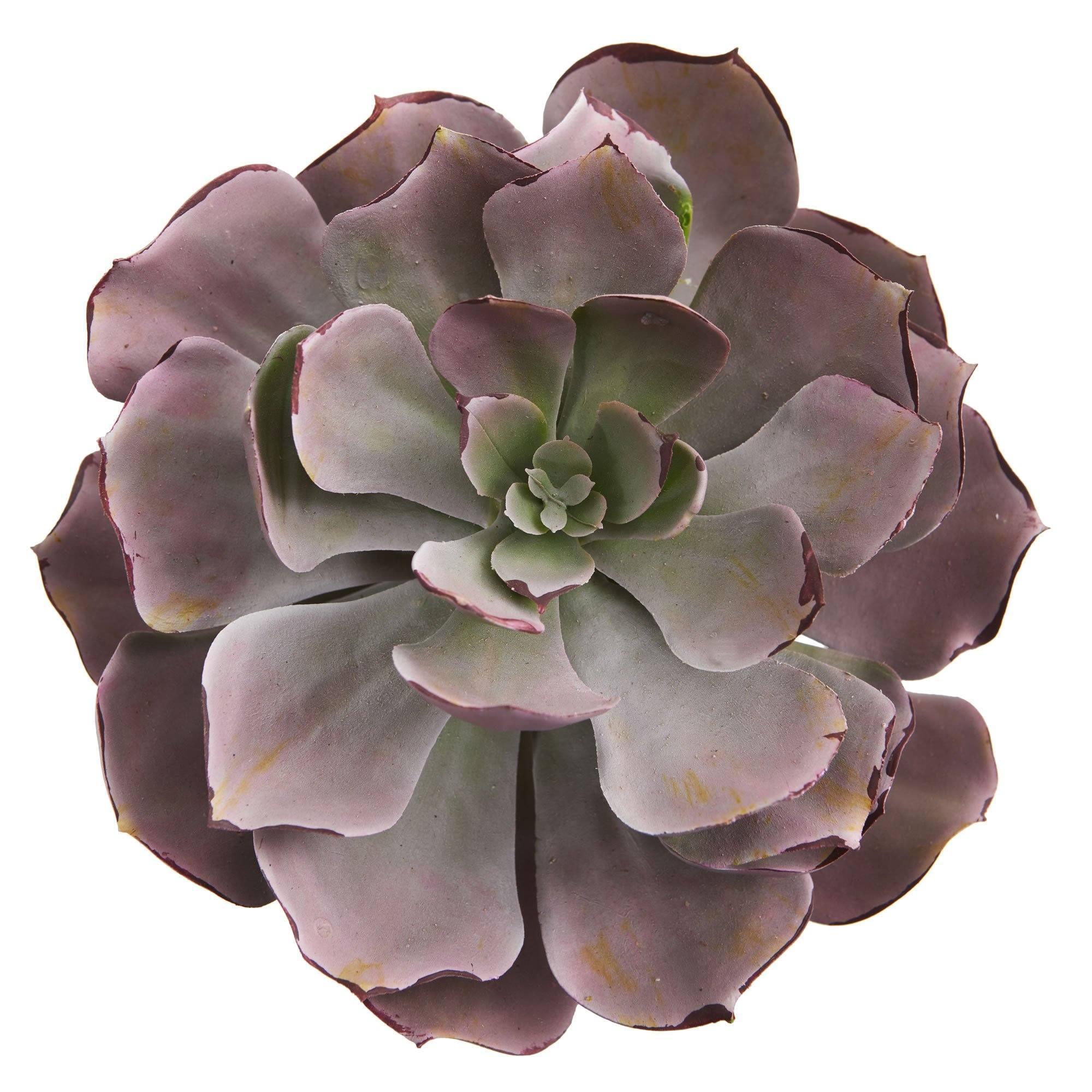 8” Echeveria Succulent Artificial Plant (Set of 6)