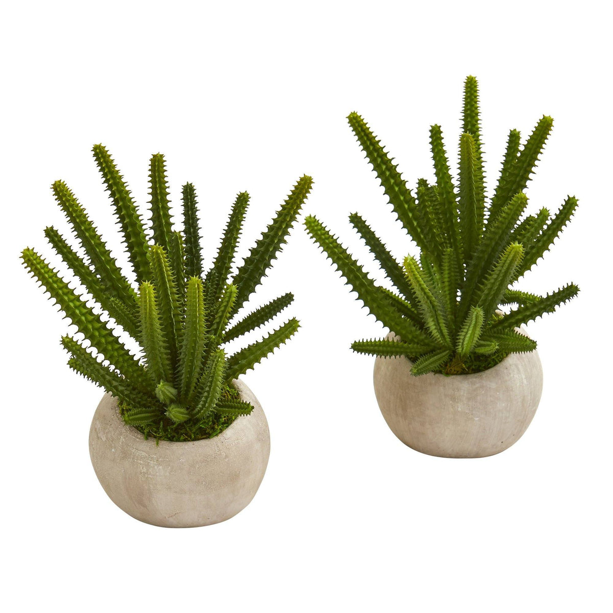 9” Finger Cactus Artificial Plant in Stone Planter (Set of 2)