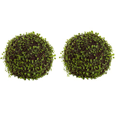 9” Mohlenbechia Ball (Set of 2)