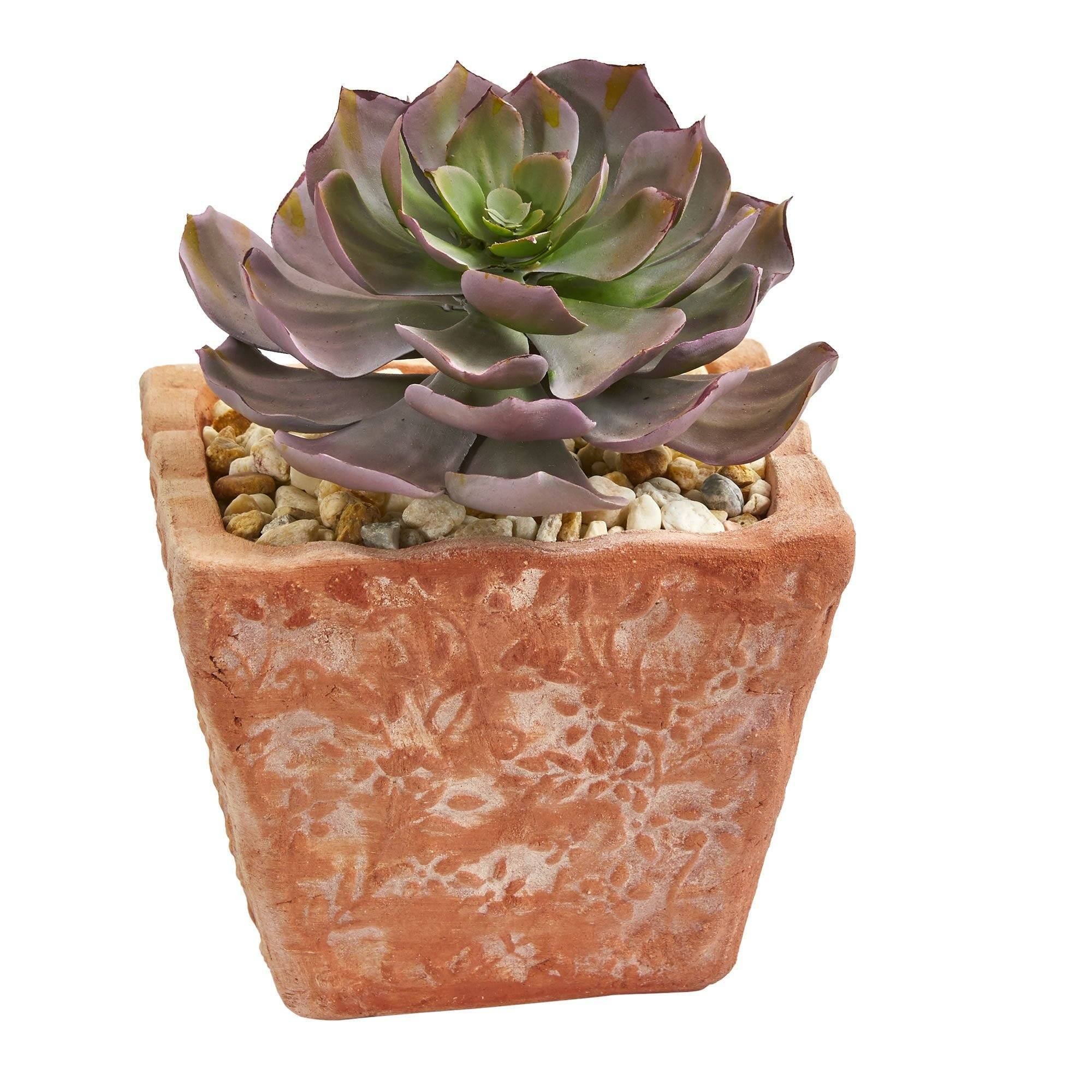 9” Succulent Artificial Plant in Terra Cotta Planter (Set of 2)