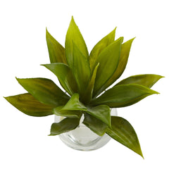 Agave Succulent with Vase (Set of 3)