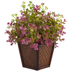 Assorted Grass with Planter (Set of 2)